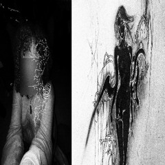 unknowns* (phantasia) [perlite]