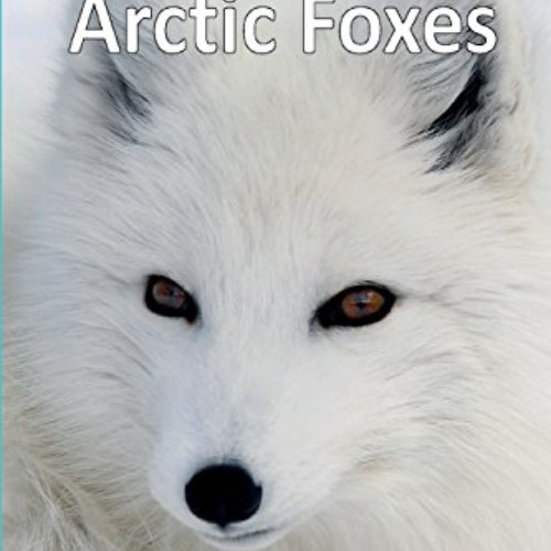 [Read] EPUB 📙 Arctic Foxes (19) (Elementary Explorers) by  Victoria Blakemore [EPUB