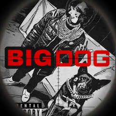 Big dog