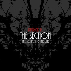 The Section // PREVIEW // OUT NOW // Worldwide & Stream