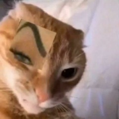 Pump it up kitty !