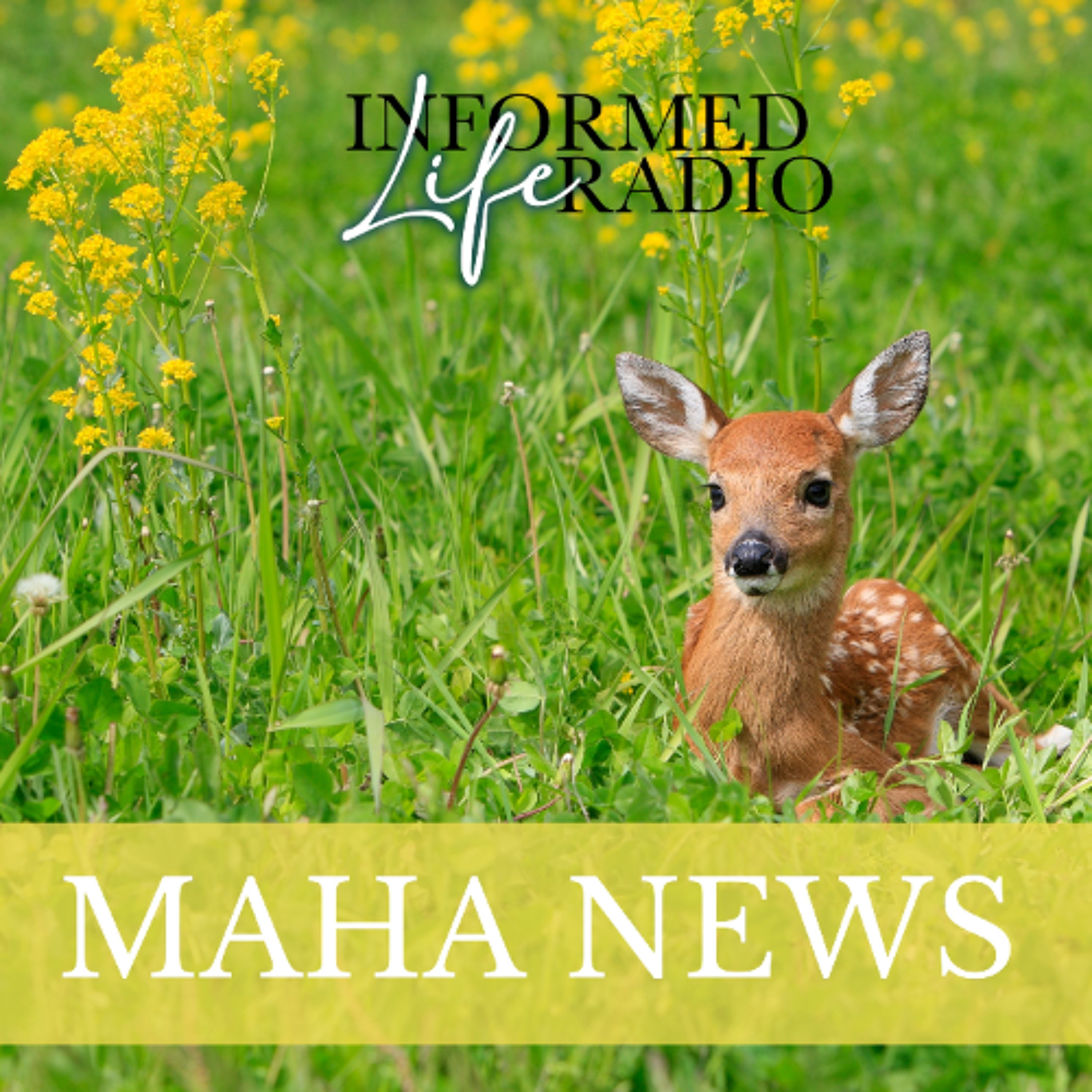 Informed Life Radio 07-25-25 MAHA News