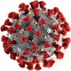 Koronavirus