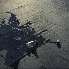 *r* VODKA PAL DESPECHO