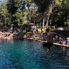 Alegria w/ Felix Thomson - March 2021