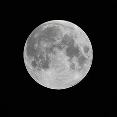 مطولة عبد العزيز جويدة في مدح النبي صلى الله عليه وسلم كاملة