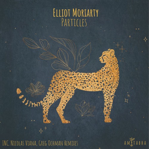 Elliot Moriarty - Particles (Nicolas Viana Remix) [AMITABHA] Preview