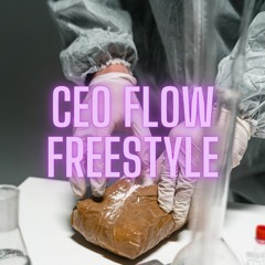 CEO Flow Freestyle