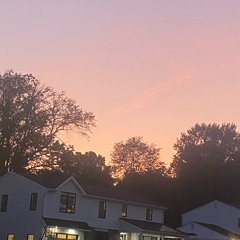 Paint The Sky