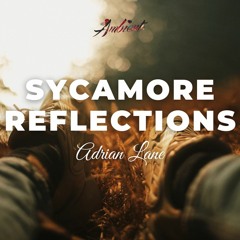Adrian Lane - Sycamore Reflections