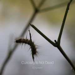 Knower - Curiosity Is Not Dead (preview)