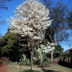 08.06.2022 - Cap. XI - Amar o Próximo Como a Si Mesmo - O Egoísmo (2)