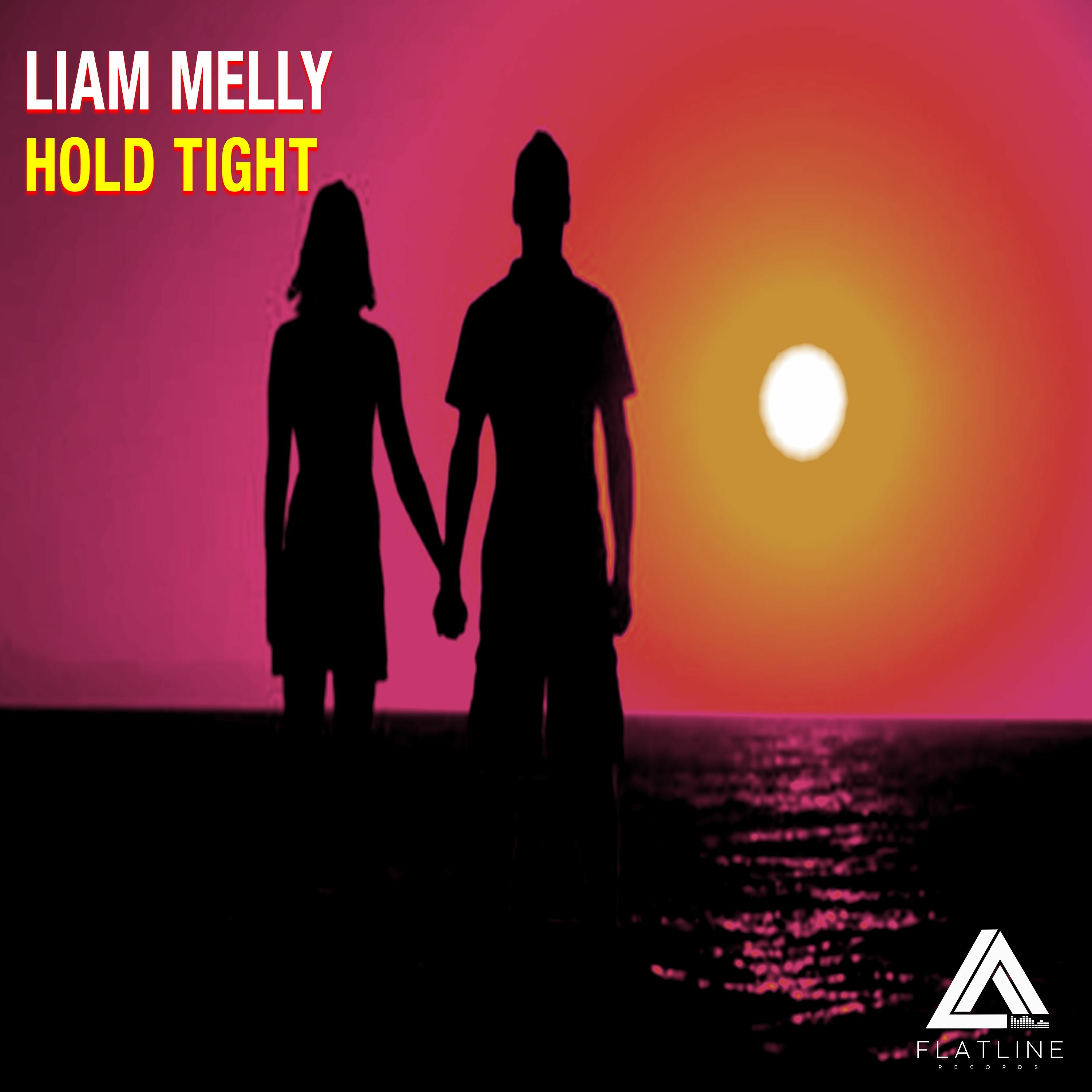 Liam Melly - Sylar - Flatline Records