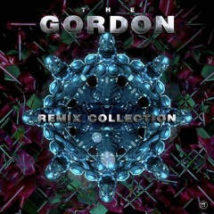 Gordon Vs Pondora - Prophecy (Organic Soup REMIX)