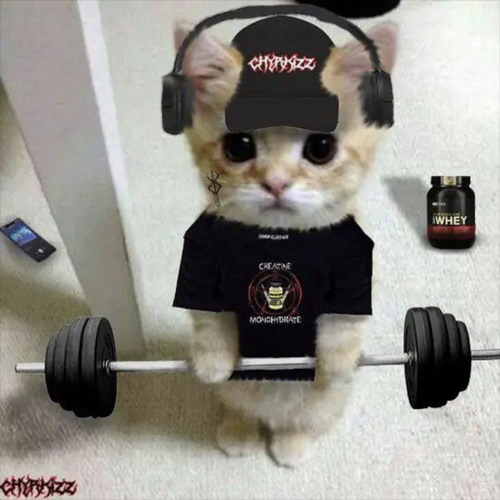 hard workout. Zyzz rage mode:activated🦍🔱