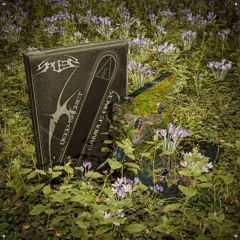 SPLEEN - DEEP SECRET SAMPLE PACK (DEMO SHOWCASE)