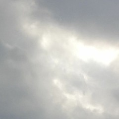 alles grau