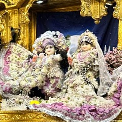 ISKCON Sydney 8