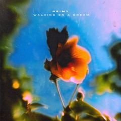 NEIMY - Walking On A Dream (Tim Gläser Extended Edit)