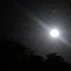 alone in dark