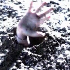 3. 6 pieds sous terre