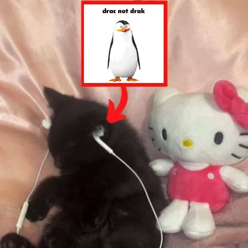 i felt like dropping an album lol