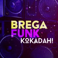 SET MIXADO - 1 HORA DE BREGA FUNK (DJ KOKADAH)