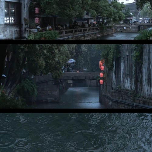 《风催雨》-费戚戚