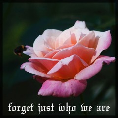 Forget Just Who We Are Master