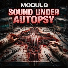 Sound Under Autopsy
