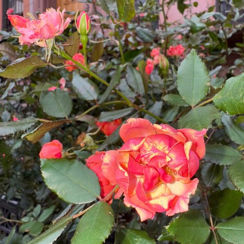 lunchbreak piano vibes