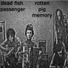 dead fish passenger - rotten pig memory