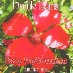 Drunk Llama - Bre Petrunko (Summer Mix)
