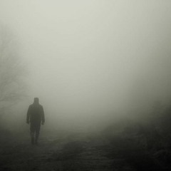 A Walk In The Fog
