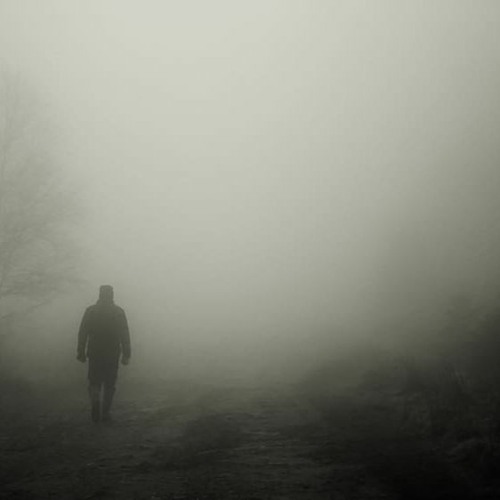 A Walk In The Fog