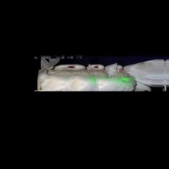 ‎ ‎النشوة ‎روح  x  LETHARGIE - SYNTEXRA