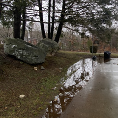 DEAD (prod. by BeetoGZ)