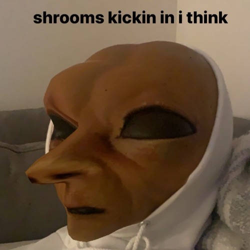 ABOUT 330ML OF CORONA