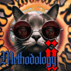 METHODOLOGY II-I