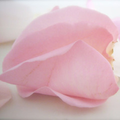 ACIM Lesson 10 My thoughts do not mean anything. (ACIM, W-10)