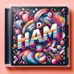 DJ HAM Dairylea Donkers 14