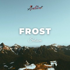 Selsom - Frost