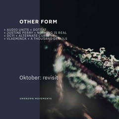 PREMIERE: Other Form - Oktober: revisit (Nothing Is Real Remix) [Unknown Movements]