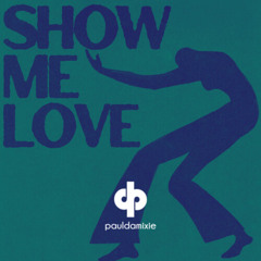 WizTheMc & bees & honey - Show Me Love (Paul Damixie Remix)