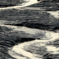 4-D TRAVELLER - Triassic Sludge