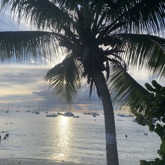 Martinique 🏝️
