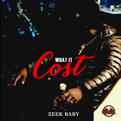 Zeek Baby - What It Cost (Intro to Zeek)