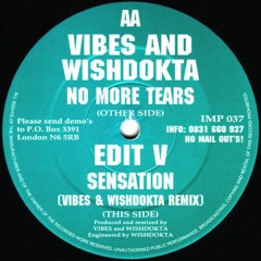 Vibes And Wishdokta - No More Tears