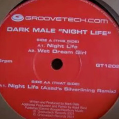 Dark Male - Nightlife (Asad's Silverlining Remix)