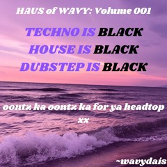 HAUS of WAVY: volume 001